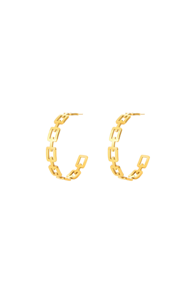 Link Hoops